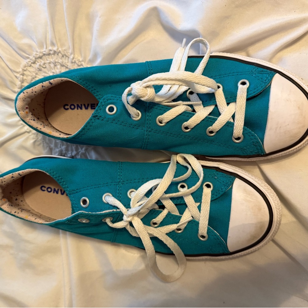 Converse Blue and White Canvas Sneakers Low-Top